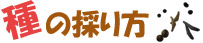 種の採り方